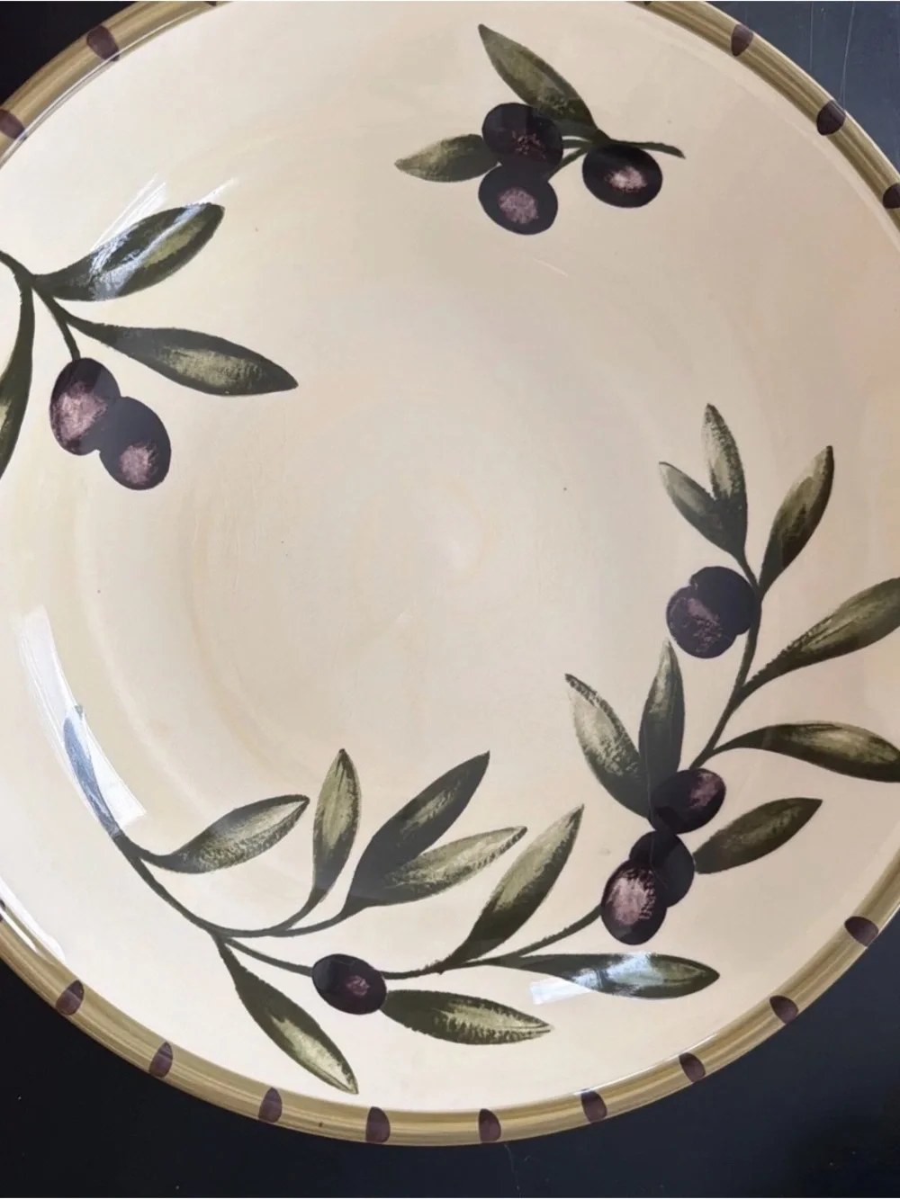 Williams Sonoma Liguria Black Olive 13